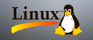 FiveM for Linux